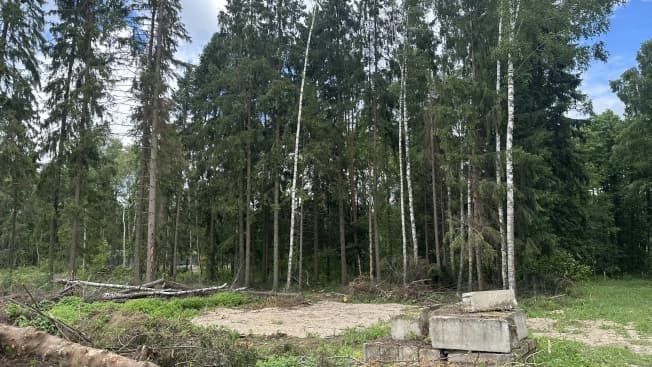 Купить земельный участок в Деревне Панине в Муниципальном Округе Егорьевске в Московской области. Вариант № 2219871, 1, площадь - квм, цена 1850000 рублей