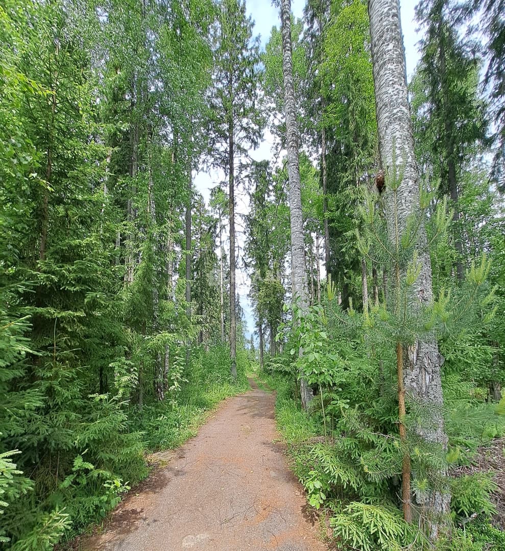 Photo 35