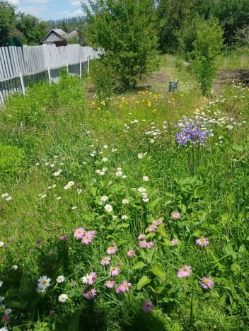 Купить земельный участок в селе Севрюково в Белгородском районе в Белгородской области. Вариант № 2205026, 1, площадь - квм, цена 1300000 рублей