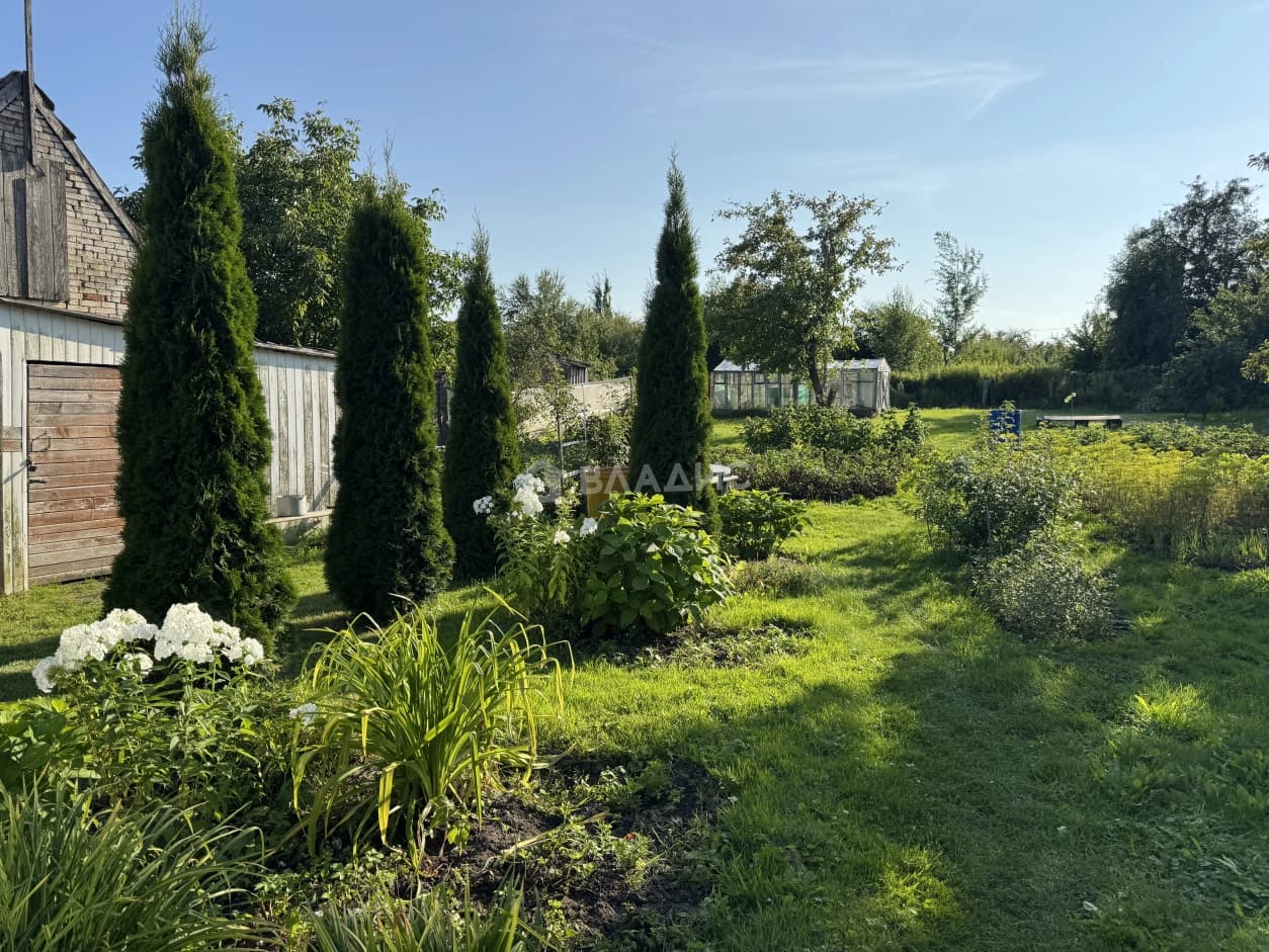 Photo 31