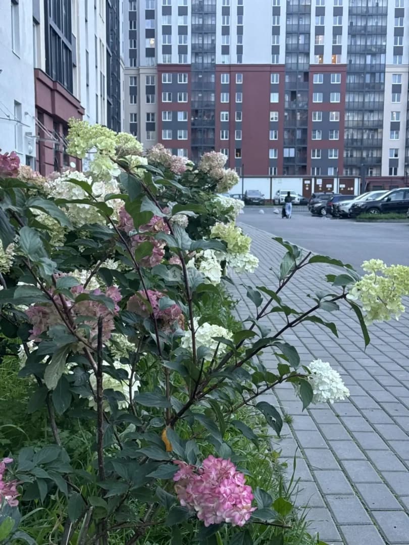 Photo 26