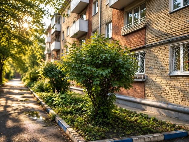 Купить двухкомнатную квартиру в Иркутске. Вариант № 2337628, 1, площадь - квм, цена 5500000 рублей