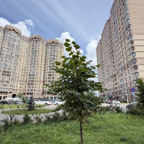 Купить однокомнатную квартиру в Деревне Пискове в Муниципальном Округе Истре в Московской области. Вариант № 2277614, 1, площадь - квм, цена 8700000 рублей