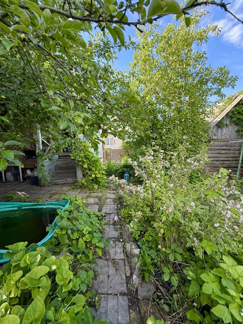 Photo 29