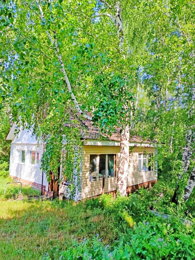 Photo 11