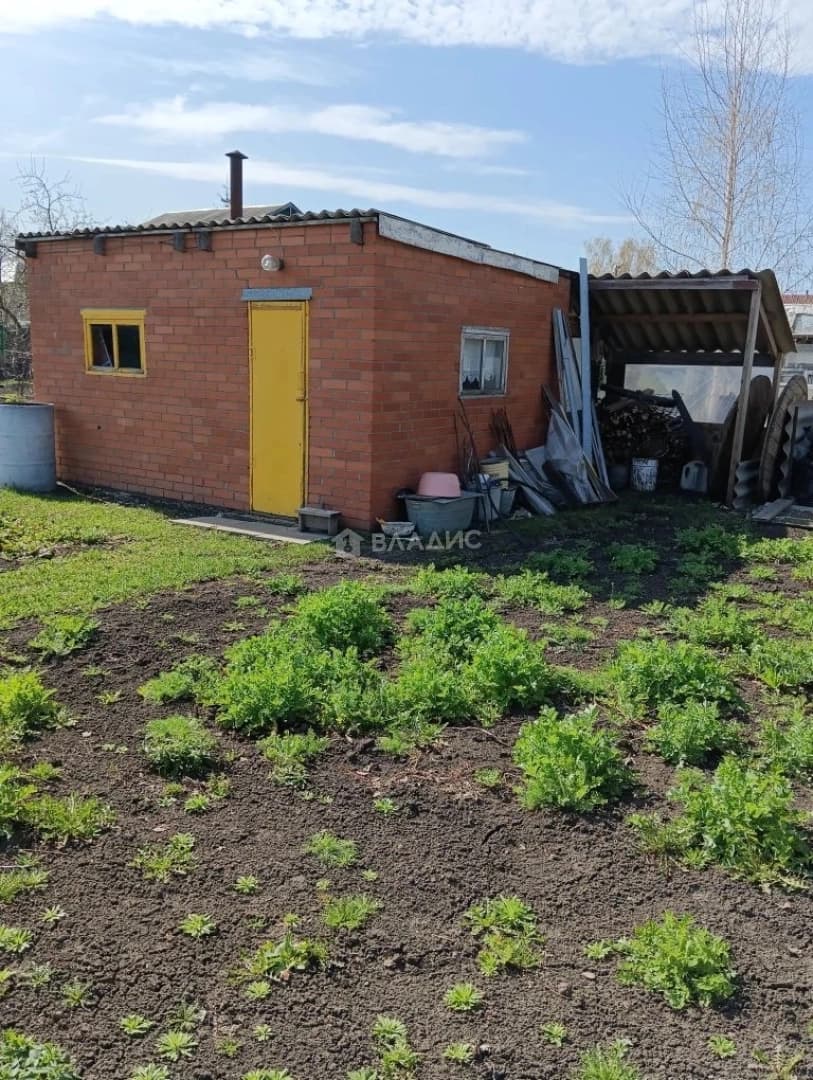 Photo 11