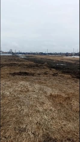 Купить земельный участок в Посёлоке Октябрьском в Мошковском районе на улице Российская , посёлок Октябрьский в Новосибирской области. Вариант № 2215883, 0, площадь - квм, цена 2300000 рублей