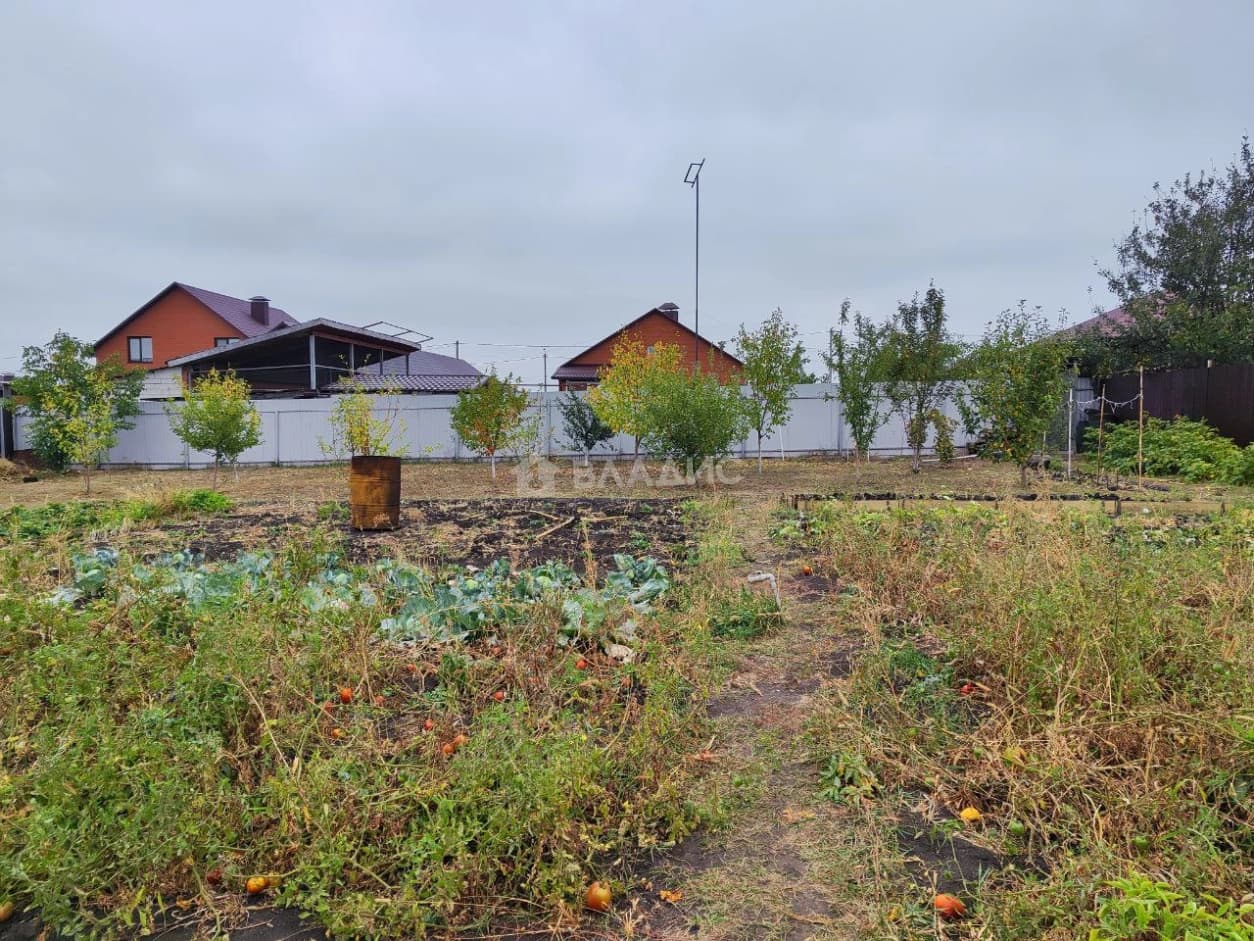 Photo 32