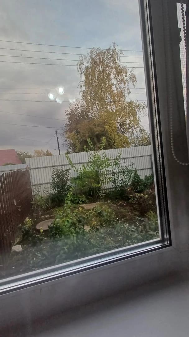 Photo 38