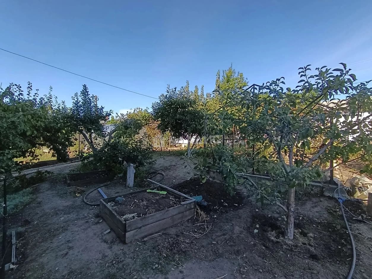 Photo 39