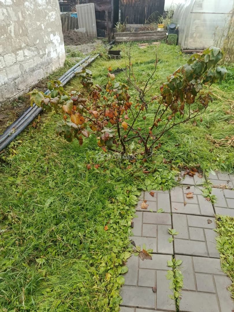 Photo 35