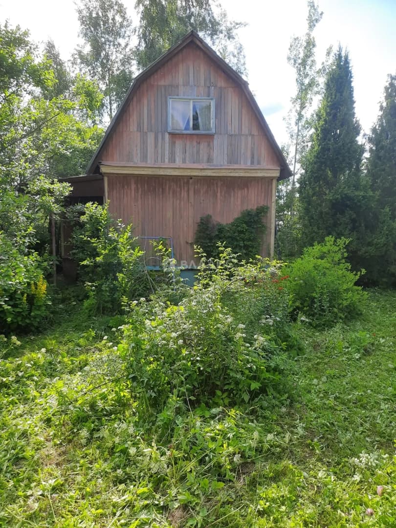 Photo 8