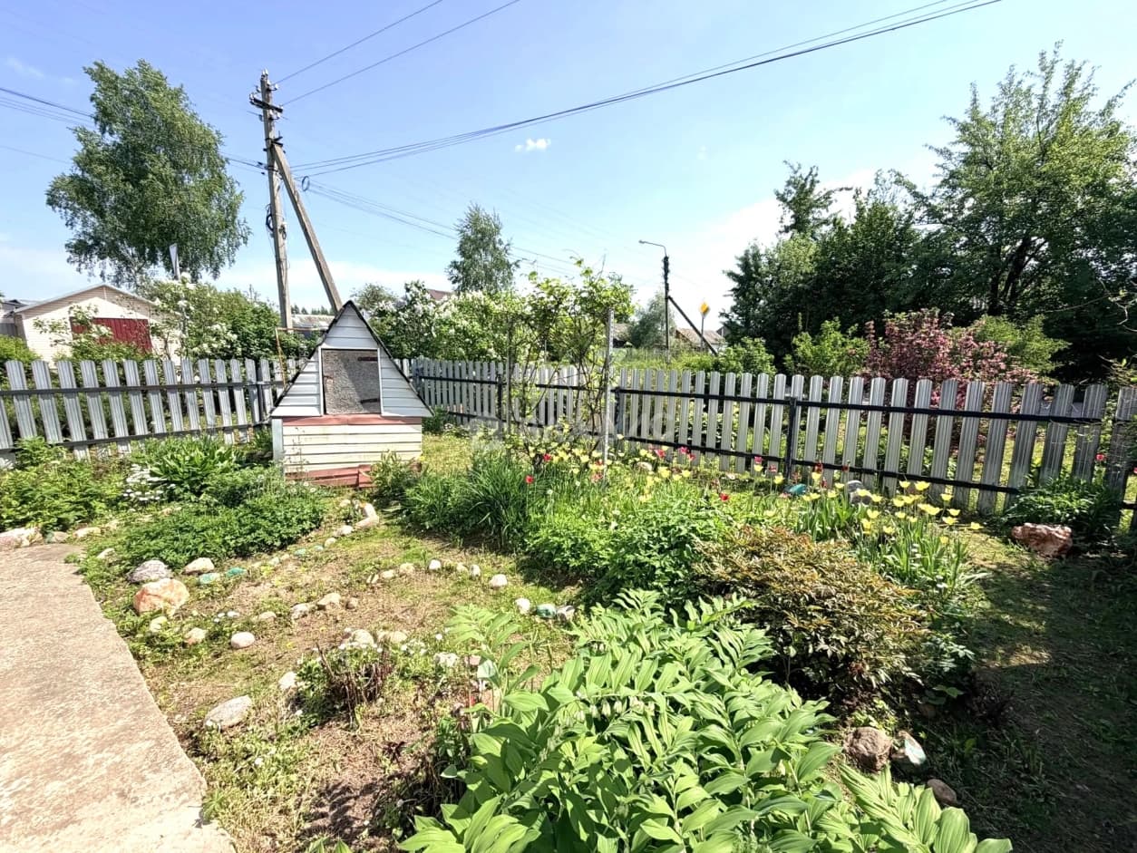 Photo 44