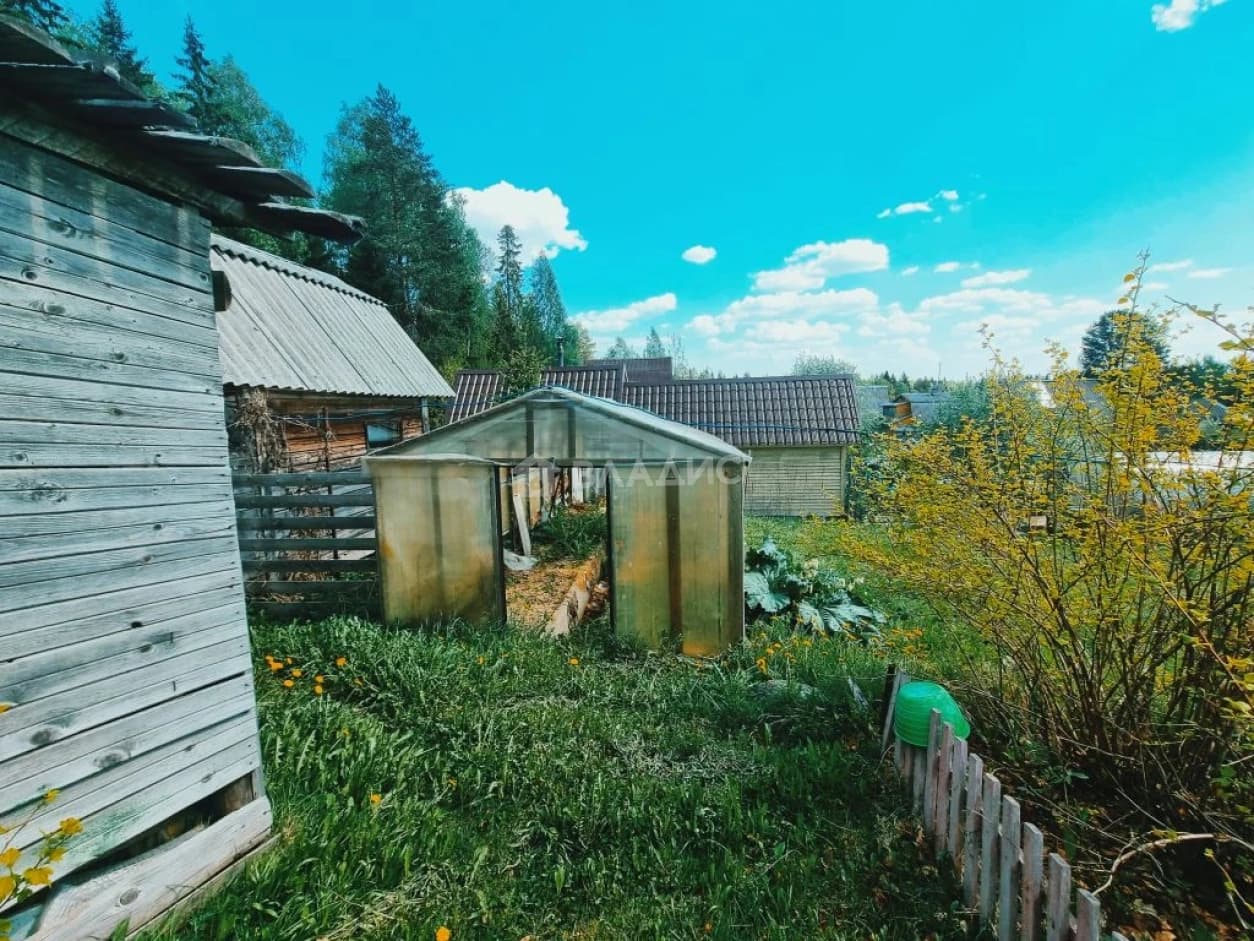 Photo 20