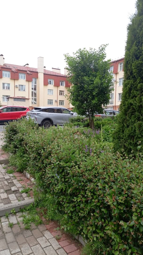 Photo 24