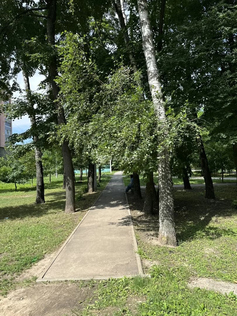 Photo 23