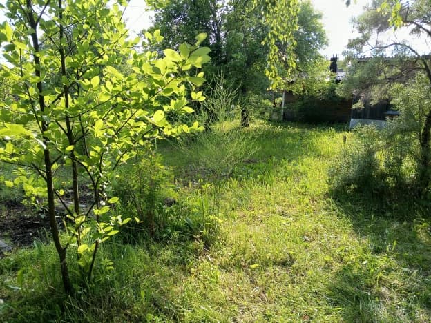 Купить земельный участок в Архангельской области. Вариант № 2154231, 0, площадь - квм, цена 230000 рублей