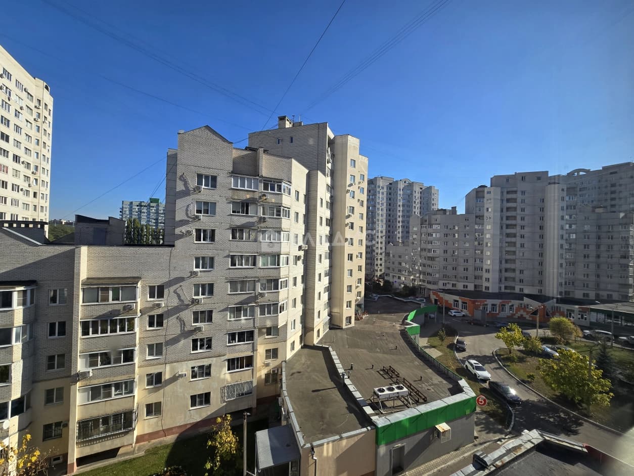 Photo 15