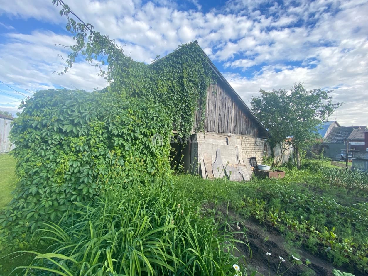 Photo 22