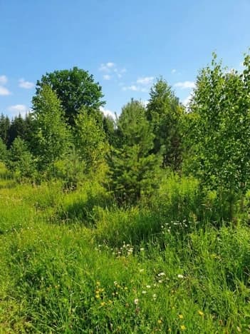 Купить земельный участок в Деревне Килелее в Богородском Муниципальном Округе на улице Спортивная , деревня Килелей в Нижегородской области. Вариант № 2211526, 1, площадь - квм, цена 1800000 рублей