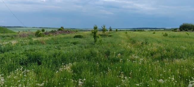 Купить земельный участок в Деревне Какузеве в Раменском Муниципальном Округе в Московской области. Вариант № 2188330, 0, площадь - квм, цена 450000 рублей