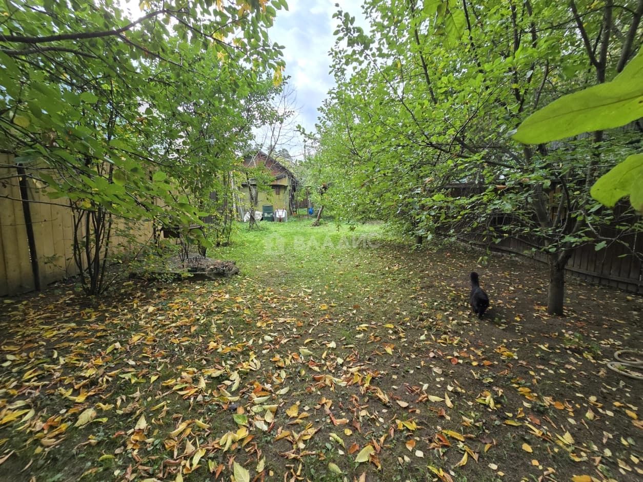 Photo 29