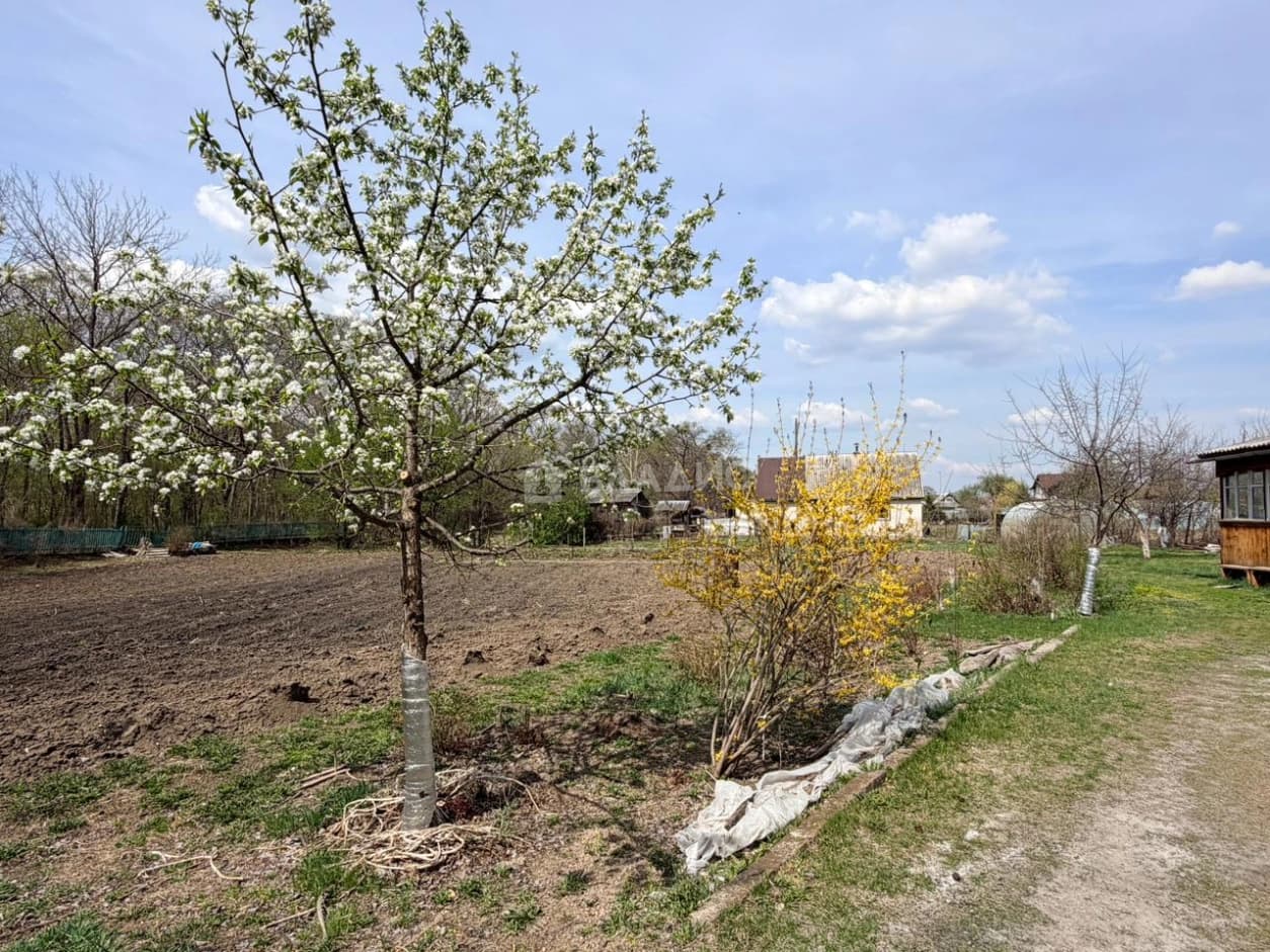 Photo 30