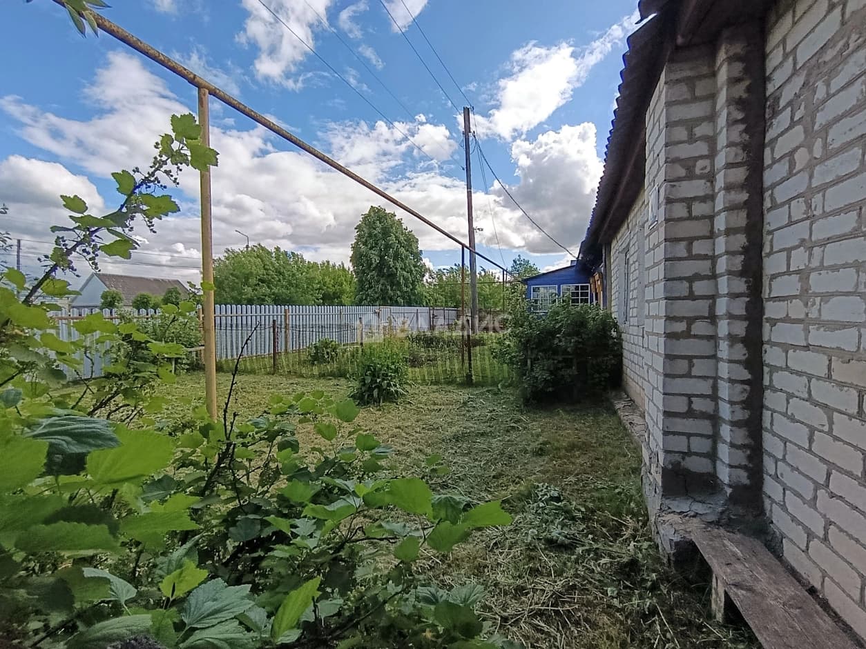 Photo 36