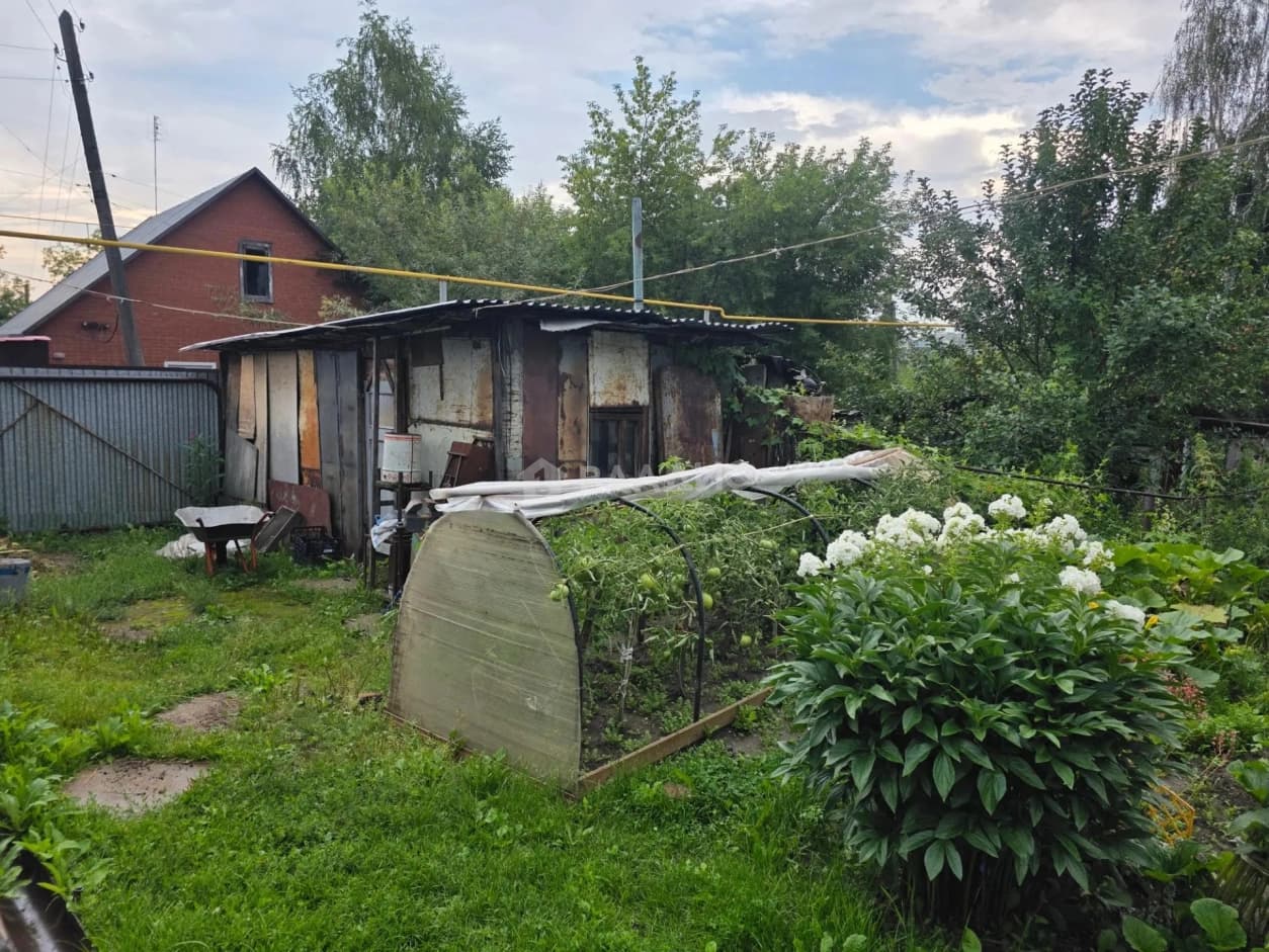 Photo 25