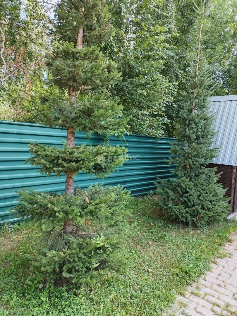 Photo 27