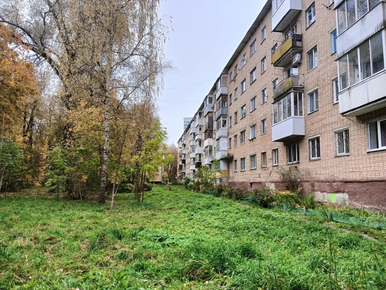 Photo 8