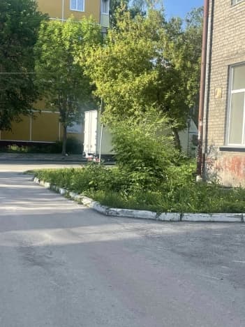 Купить однокомнатную квартиру на вторичке на улице Пролетарская в Новосибирске. Вариант № 2201118, 1, площадь - квм, цена 4900000 рублей