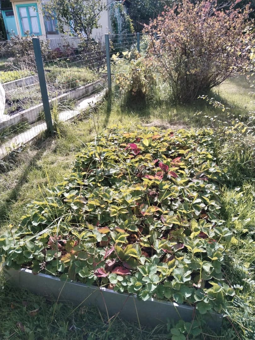 Photo 35