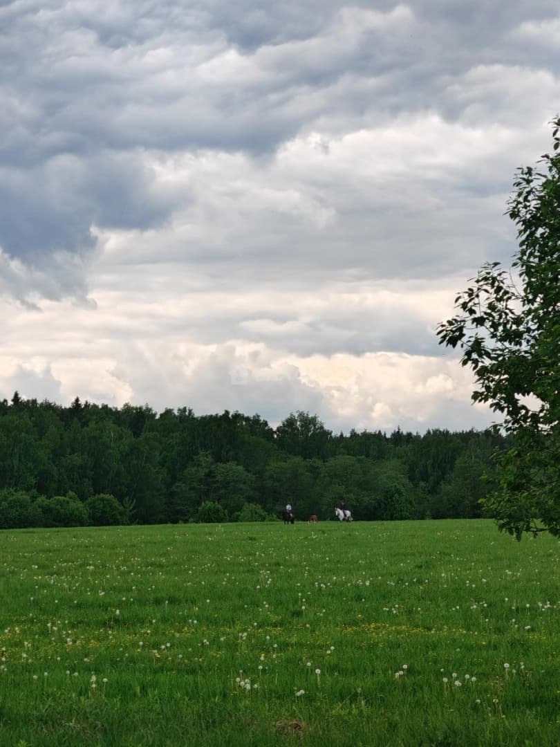 Photo 34