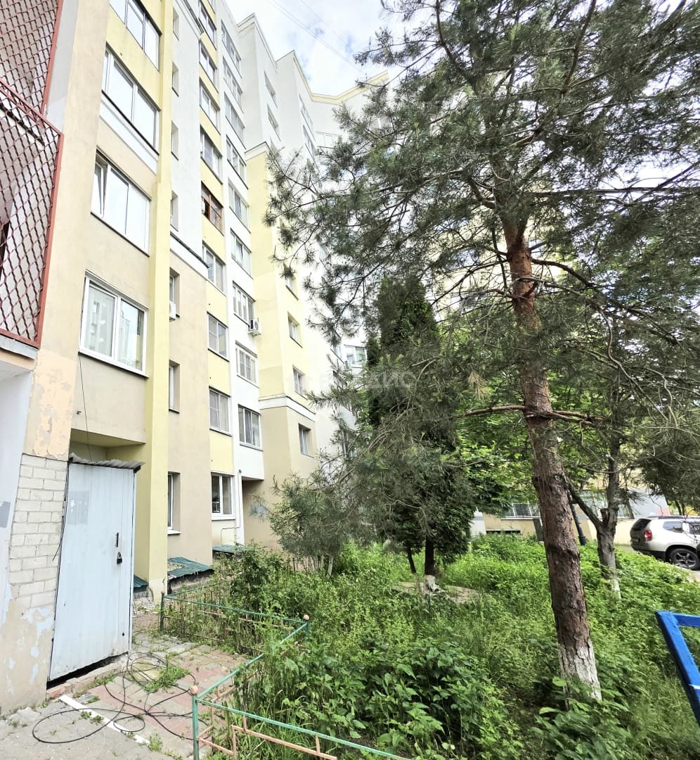 Photo 20