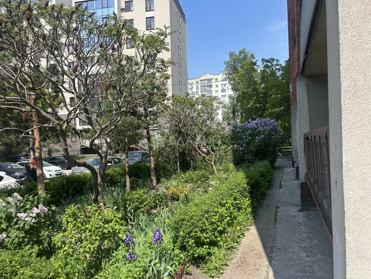 Photo 28