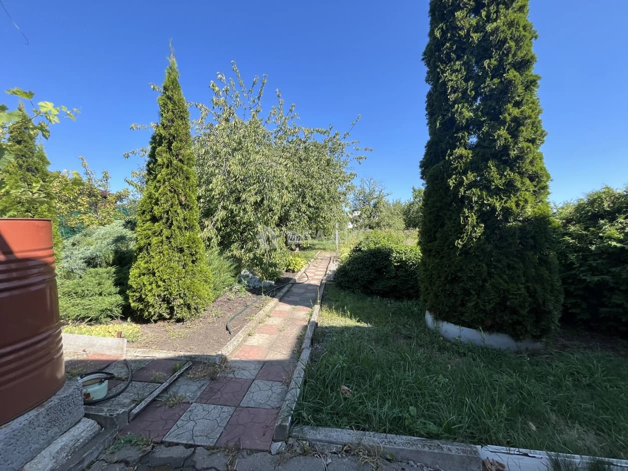 Photo 27