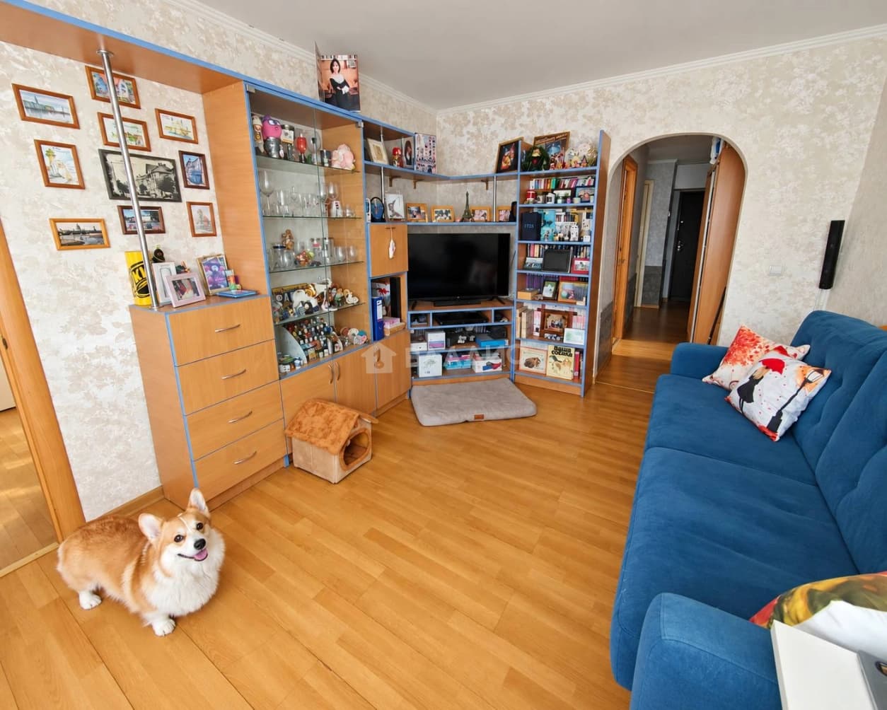 Photo 7
