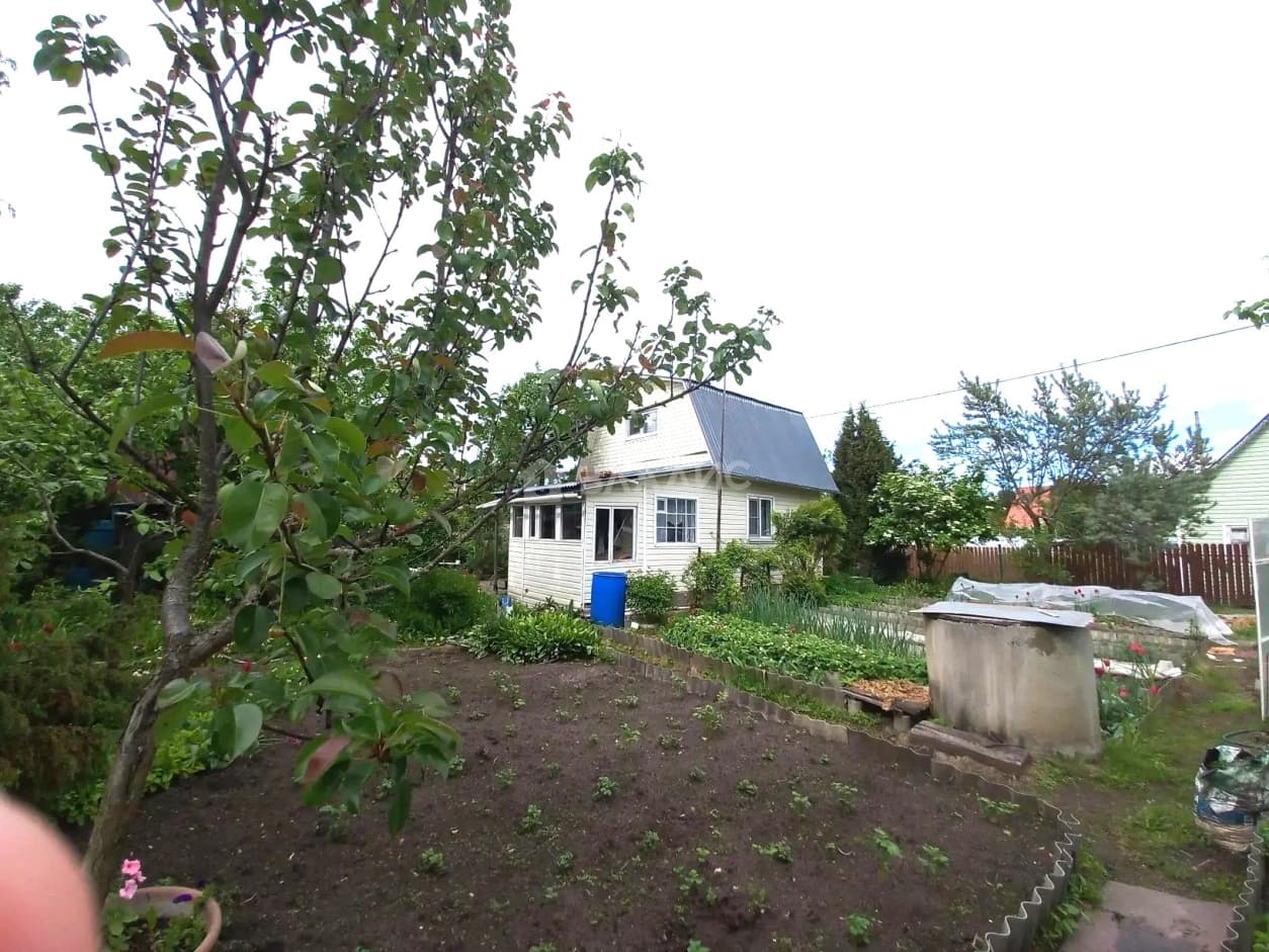 Photo 16