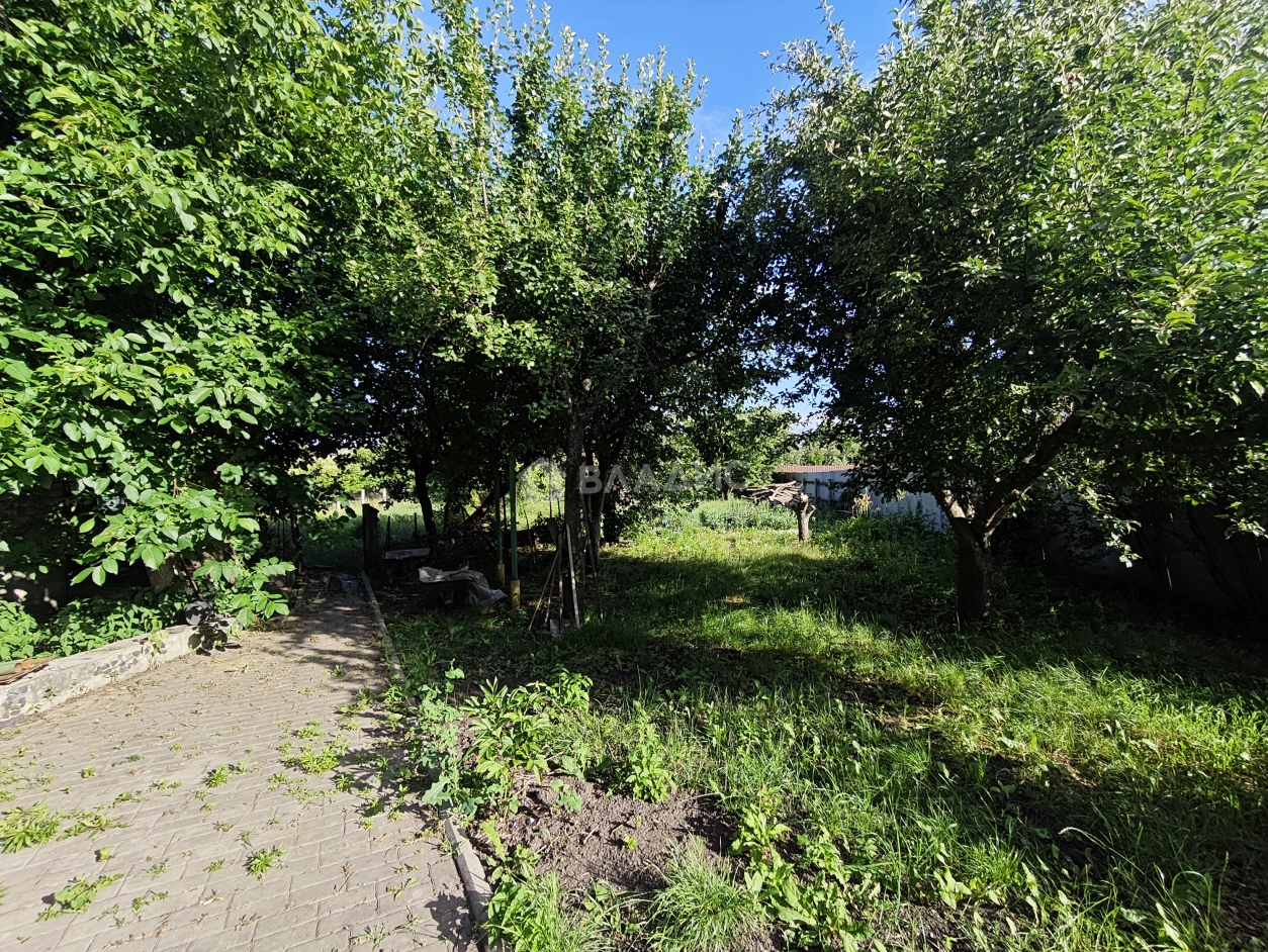 Photo 34