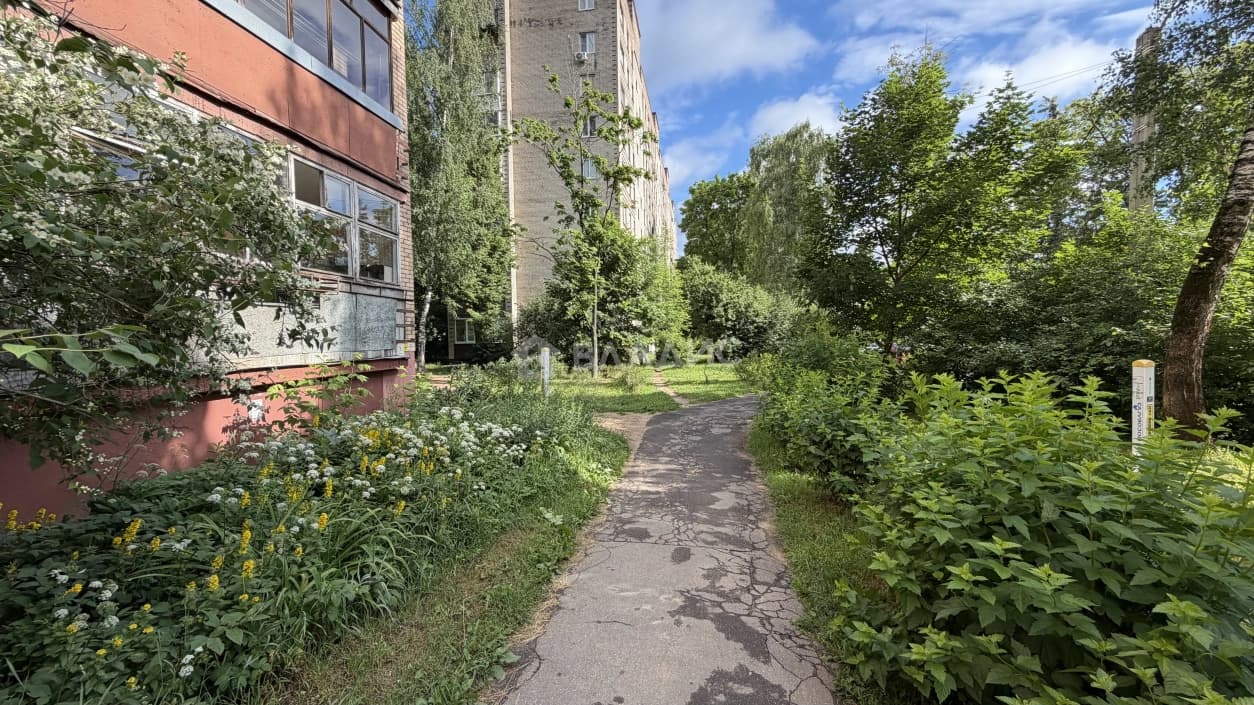 Photo 30