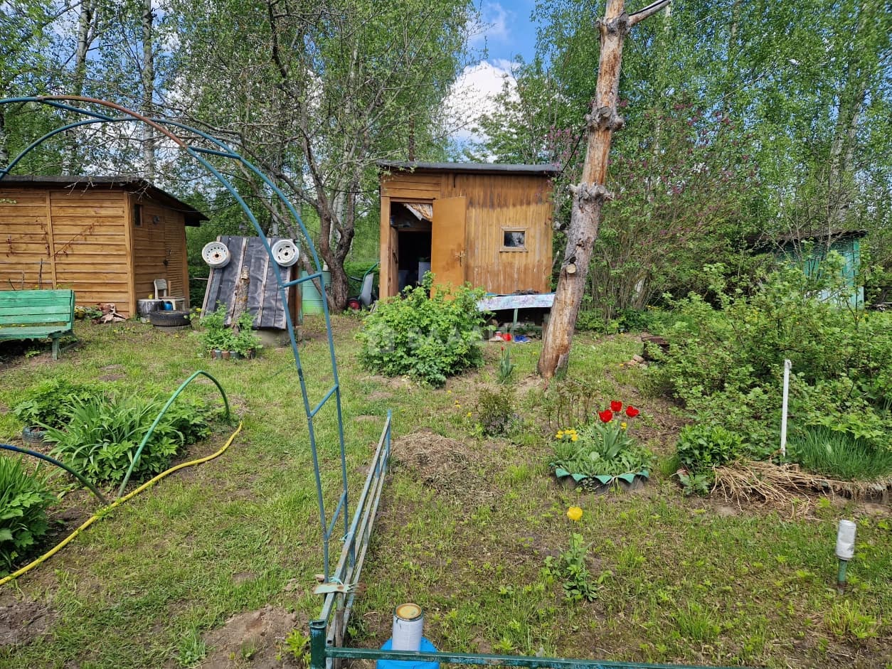 Photo 13
