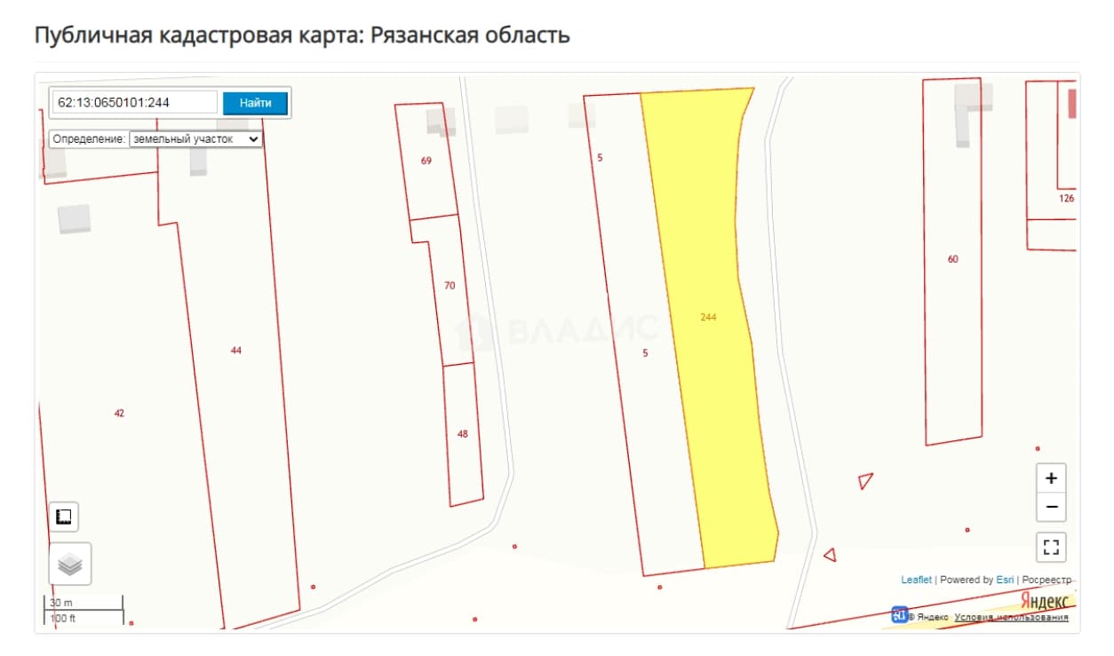 Photo 8
