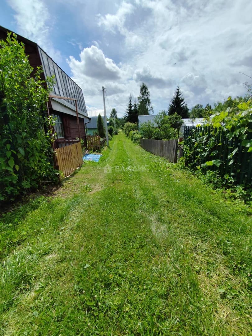 Photo 31