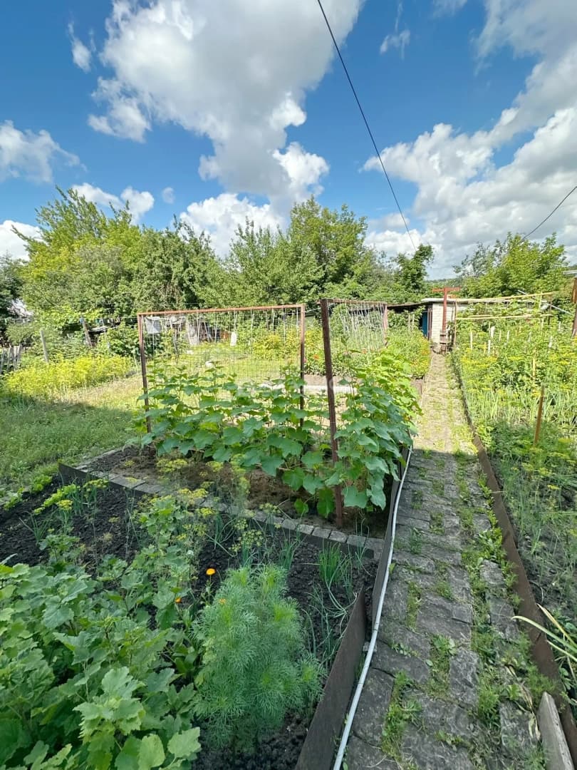 Photo 27