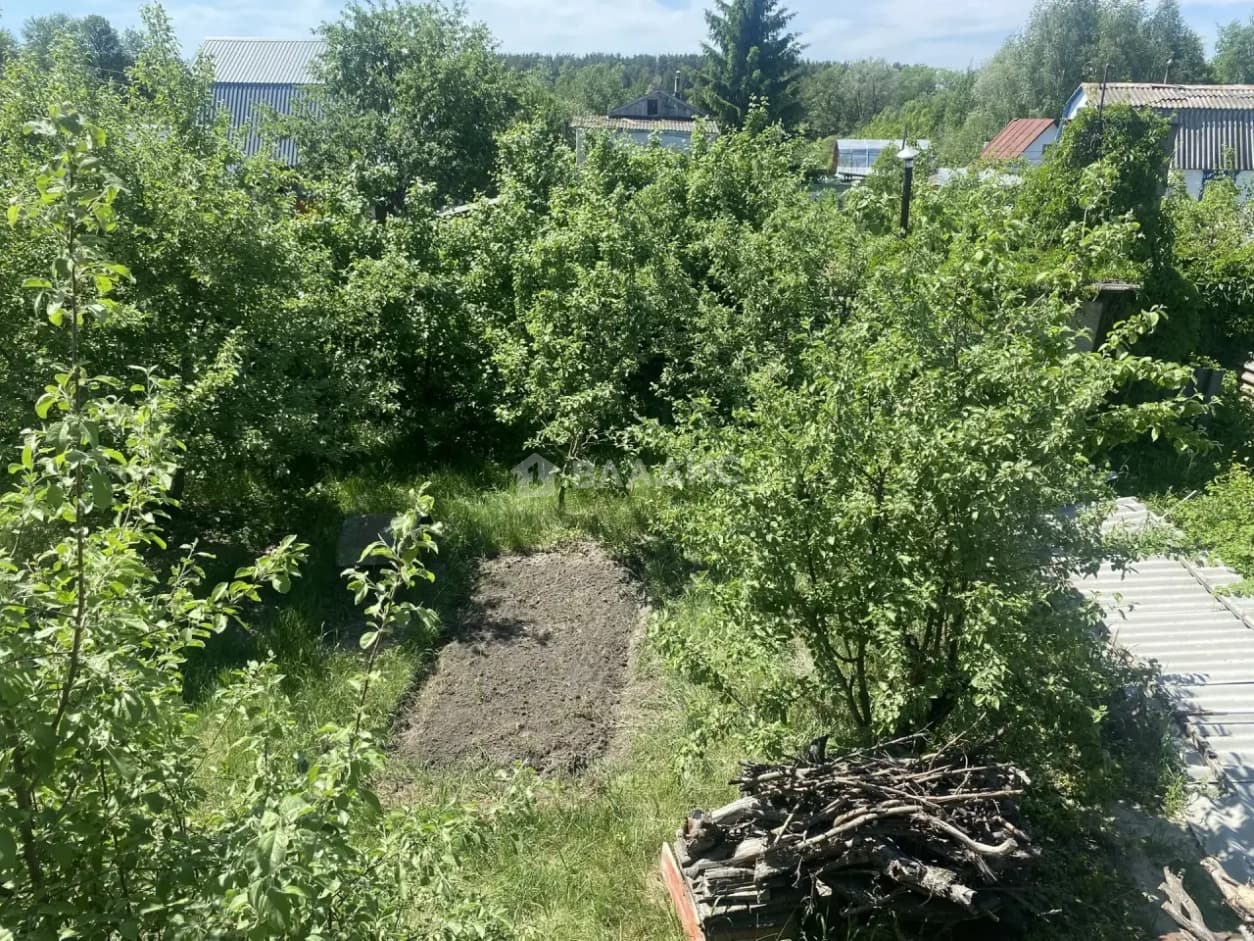 Photo 15