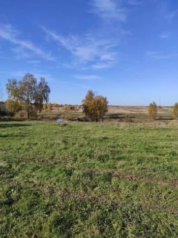 Купить земельный участок в Деревне Какузеве в Раменском Муниципальном Округе в Московской области. Вариант № 2206887, 0, площадь - квм, цена 850000 рублей