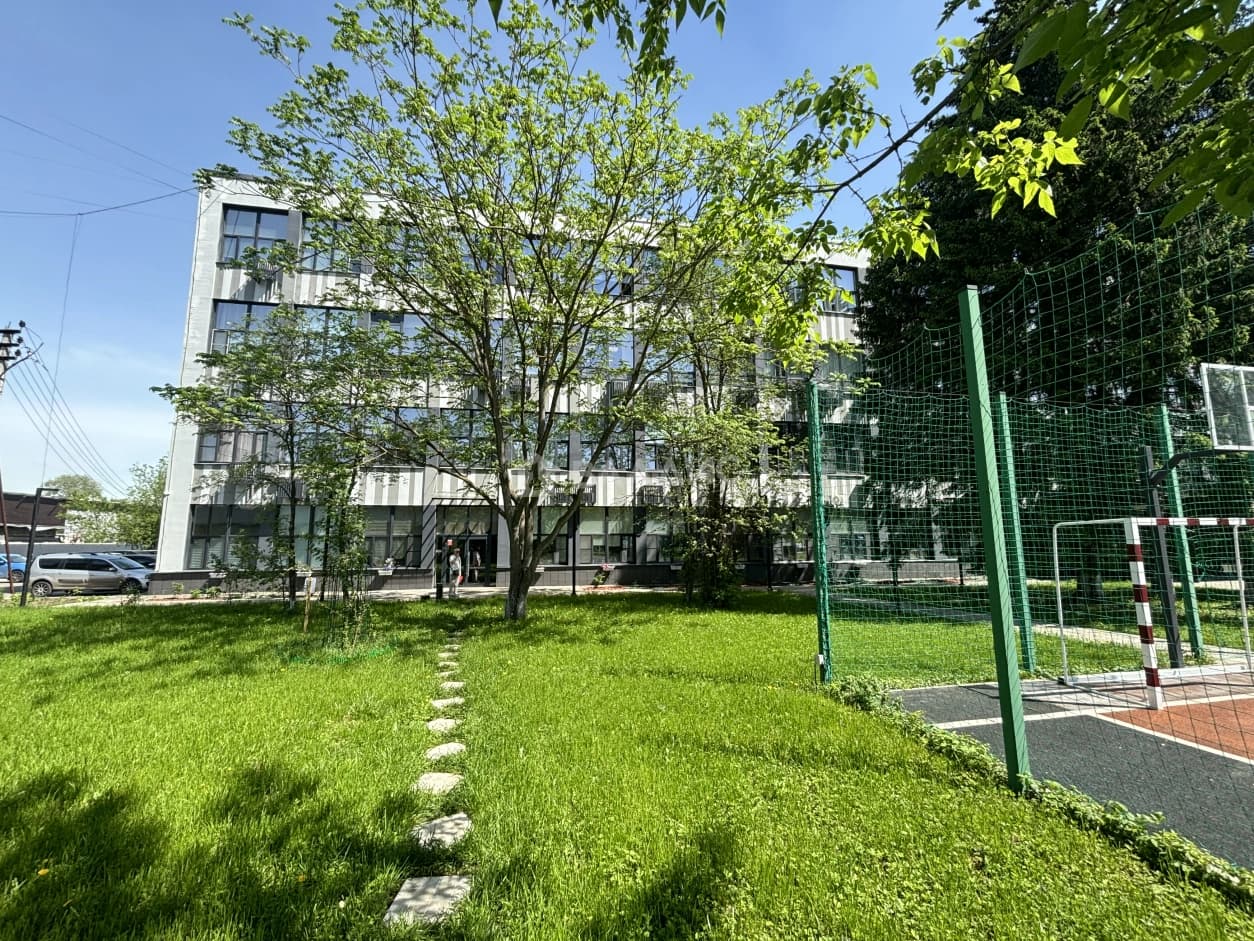 Photo 11
