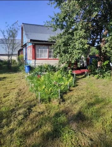Купить дачу в Муниципальном Округе Боре в Нижегородской области. Вариант № 2254899, 1, площадь - квм, цена 850000 рублей