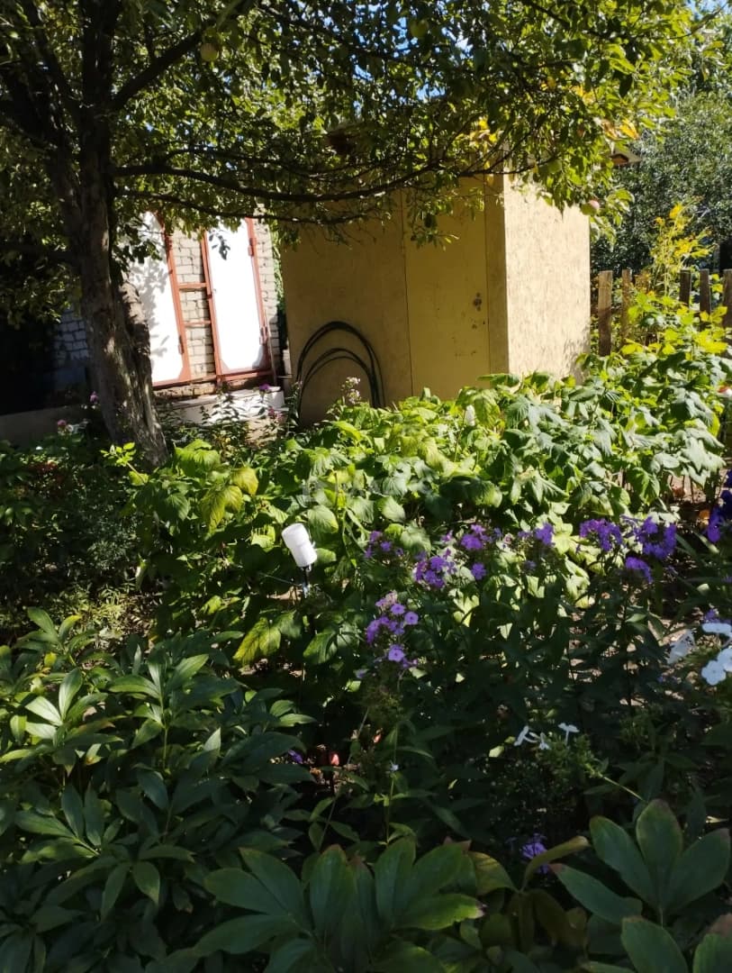 Photo 24